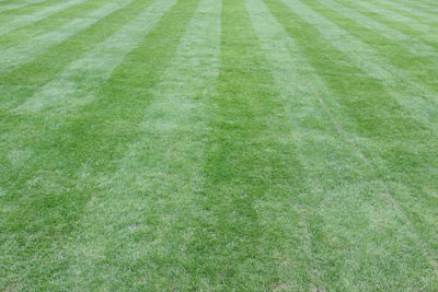 Transform Curb Appeal Using Lawn Care Services in Gainesville, VA Locals Recommend