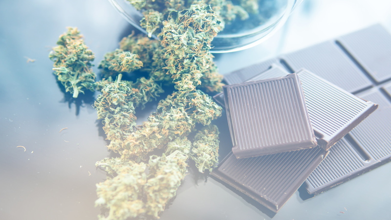 What You Should Know Before Seeing a Medical Marijuana Doctor in Daytona Beach, FL