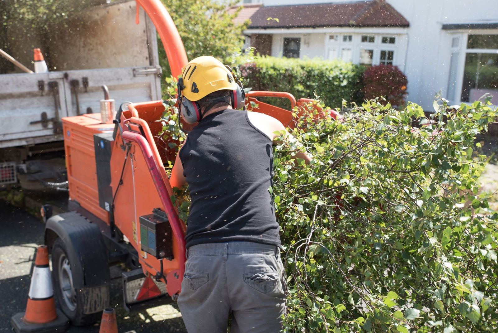 Hire Someone to Help With Your Tree Pruning in Champlin MN