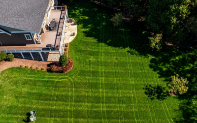 Best Lawn Care Companies in Gainesville VA – Your Ultimate Guide