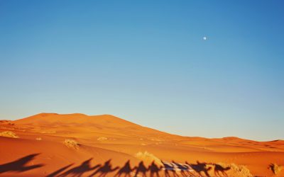 Journey Through Moroccan Sands: Days Tour From Marrakech To Merzouga Desert