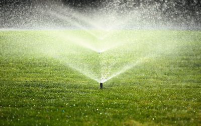 Why Turf Cleaning is Crucial for Commercial Properties with Artificial Grass