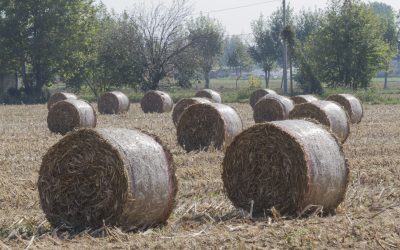 Perfect Solutions for Farmers Using Wholesale Baling Twine, Pittsburgh, PA for Hay Bundling