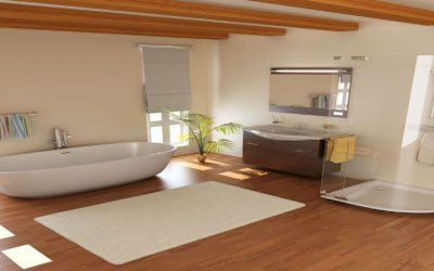Frameless Shower Door Houston, TX Options That Maximize Light and Space in Bathrooms