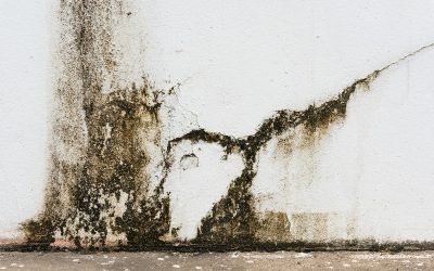 How Foundation Restoration Wheeling, WV Prevents Costly Basement Water Damage