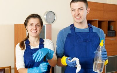Ensure Employee Wellness With Expert Commercial Cleaning In Lincoln, NE, and Office Hygiene Services