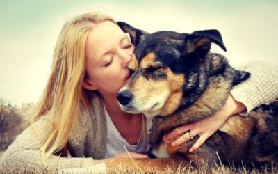 Stress-Free Pet Parenting with Flexible Programs at Dog Day Care In Denver