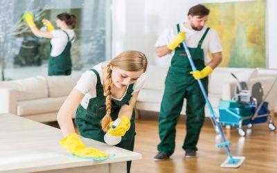 Effortless Cleaning Solutions Offered by House Cleaners In St Paul, MN for Busy Families