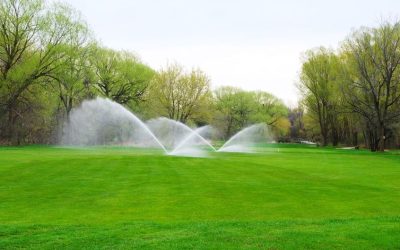 Green Lawns Start with Expert Irrigation Sprinkler Repair In Colorado Springs, CO Solutions
