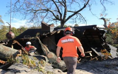 Protect Your Home With Emergency Tree Service in Atlanta, GA for Fast Storm Damage Response
