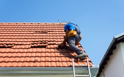 How to Choose Commercial Roofers Near Denver, CO, for Reliable Business Protection