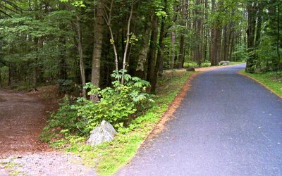 Transform Home Value With Driveway Sealcoating Maple Grove Solutions That Last Longer