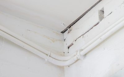 Homeowners Trust Stucco Repair Chester County PA for Lasting Curb Appeal and Peace of Mind