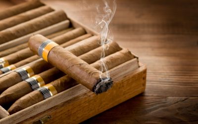 Indulge in the authentic charm of Backwoods Cigars UK for a satisfying smoke