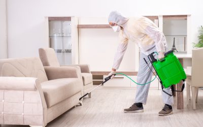 Local Solutions That a Pest Control Company Montclair NJ Provides for Lasting Home Protection
