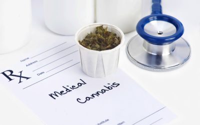 Choosing Lab Tested THCA Flower for Purity and Peace of Mind in Your Wellness Routine