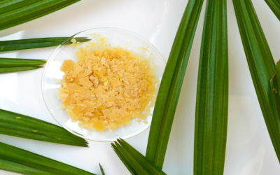 Unlock Smoother Skin At Home With Natural Wax Powder For Easy And Gentle Hair Removal