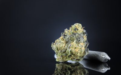 Experience Powerful Effects by Choosing THCA Live Resin Badder for Authentic Flavor and Potency