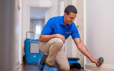 Protect Your Home with Mold Remediation in Berthoud, CO Solutions for Healthier Living