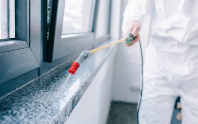 Reliable solutions from a Pest Control Company Cedar Grove NJ for a pestfree home environment