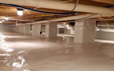 Effective methods for how to get rid of mold in my crawl space Arkansas homeowners trust